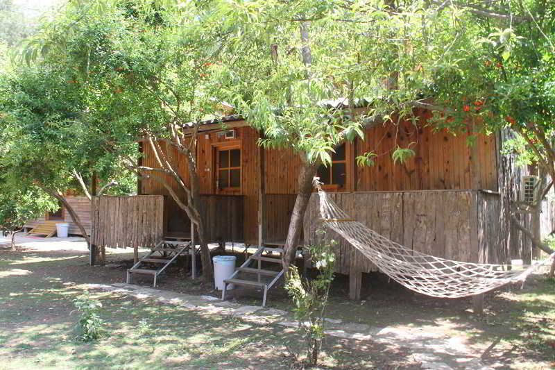 Turkmen Tree Houses Olympos Exterior photo