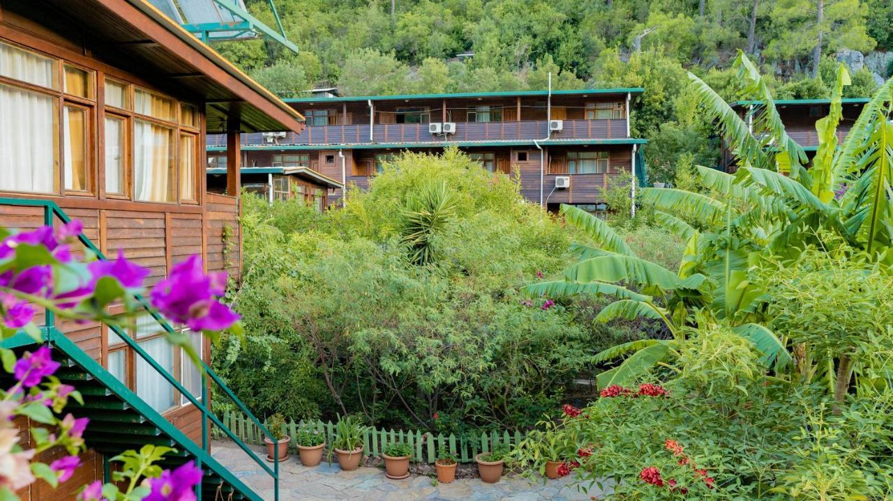 Turkmen Tree Houses Olympos Exterior photo