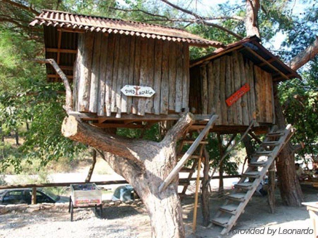 Turkmen Tree Houses Olympos Exterior photo