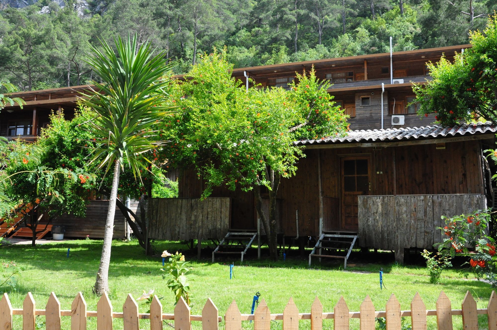Turkmen Tree Houses Olympos Exterior photo
